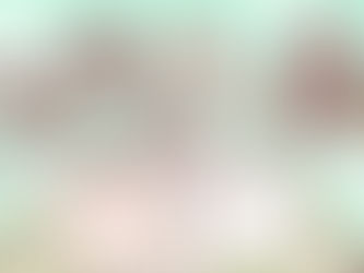 大阪  ︳文鳥しかない!展 vol.2 ︳委託販賣