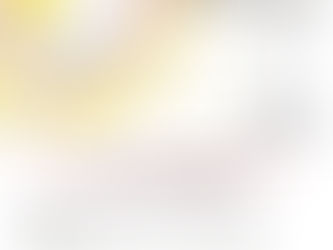 東京  ︳第18回「鳥の会」 ︳委託販賣  