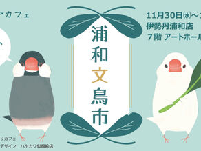 埼玉 ︳浦和文鳥市   ︳委託販賣