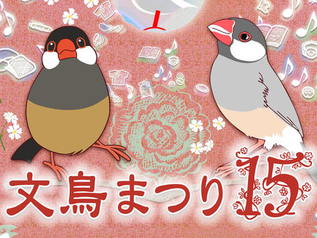 横浜 ︳文鳥まつり15 ︳委託販賣