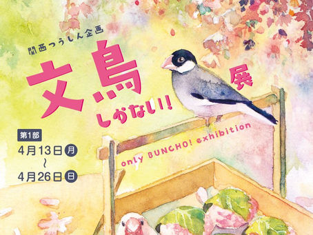 大阪 ︳文鳥しかない!展 ︳委託販賣