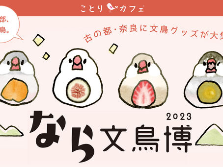 奈良︳なら文鳥博 ︳委託販賣