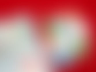 聖誕鳥森林 防水貼紙 / 明信片