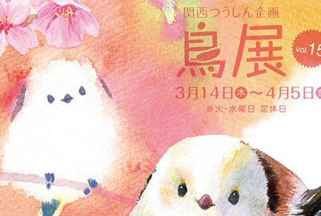 大阪 ︳鳥展 vol.15 ︳委託販賣