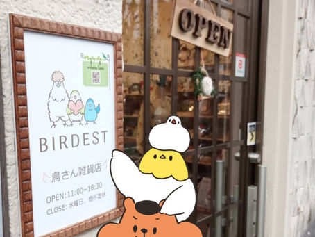 鳥さん雑貨店 BIRDEST