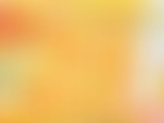 名古屋 ︳なごやことりびより ︳委託販賣