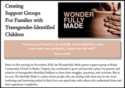 Wonderfully Made Image