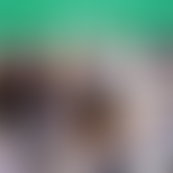 Spanish Lessons for Parents