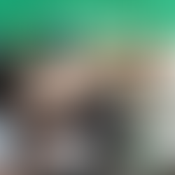 Norwegian Lessons for Parents