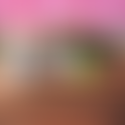 Second Padel Social NightÂ