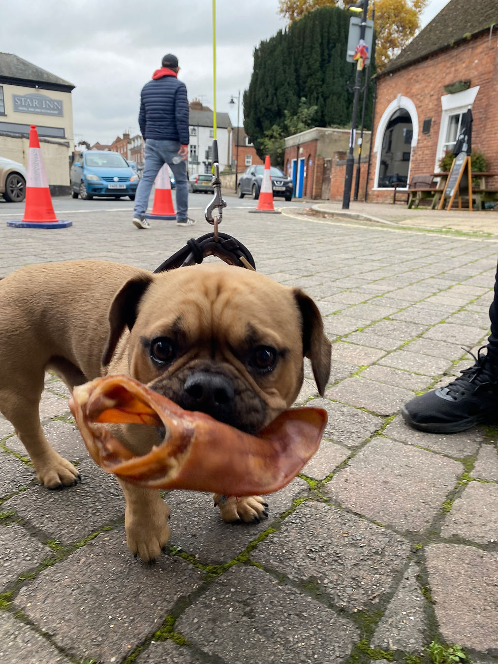 Coming up in November