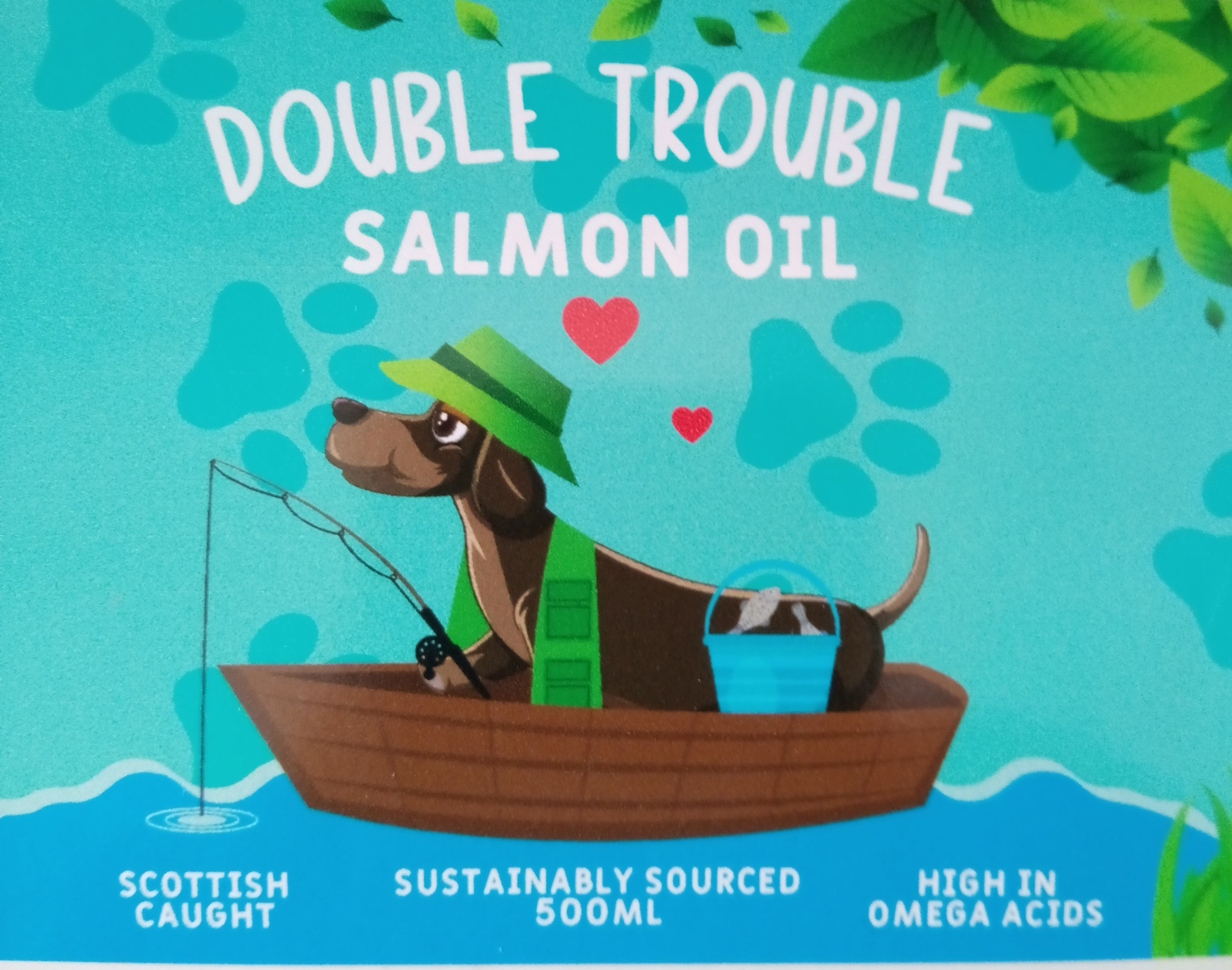 Salmon Oil