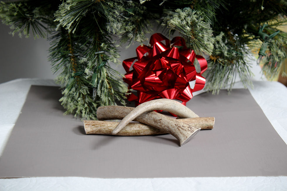 Thumbnail: Small Antler Chew for Dog