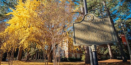Mercer University