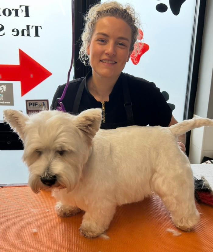 MurphysDogGrooming6.jpeg