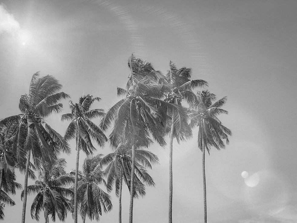 pexels-marctutorials-298692-1152359-2.jpg