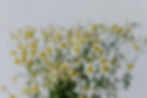 Homeopathic Seminar