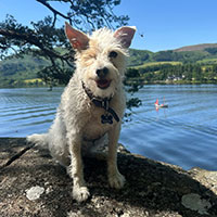 kitty-edinburgh-dog-walking-review.jpg