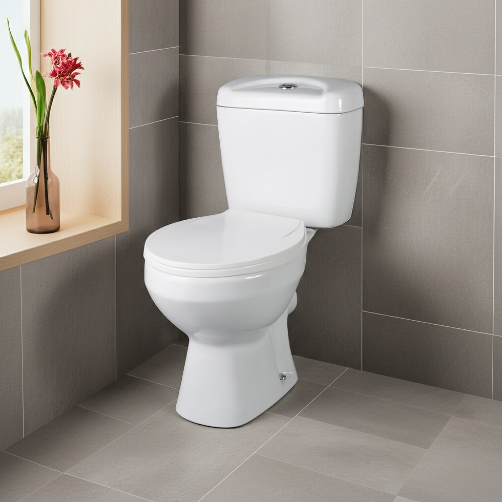 Thumbnail: Diksha Close Coupled Toilet Set