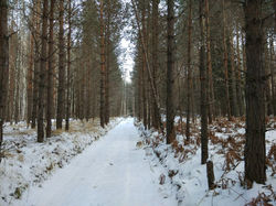 photo_2018-01-09_13-25-57