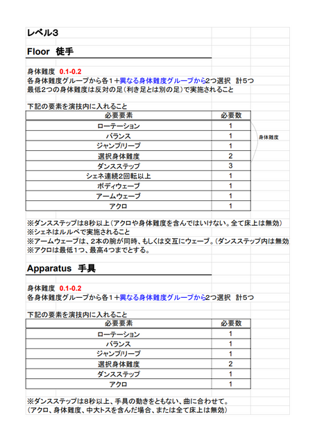 Leve 3/4/5 必須要素 2025-2028版