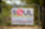 SRRCG Soul Poster small.jpg