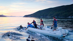OnBoard Expeditions Tasmania