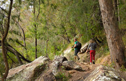 Hornsby Quarry