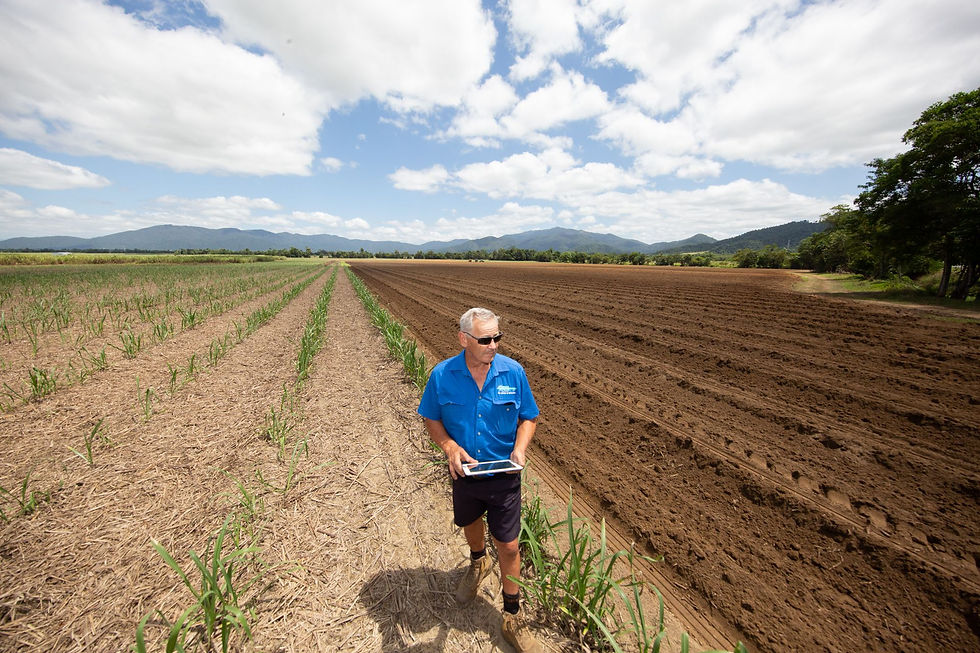 LiquaForce on the Rise with LandHub