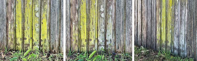 FenceJune23 to Dec24_edited_edited.jpg