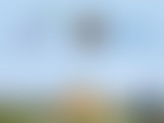 Bringing Vrindavan to Life 