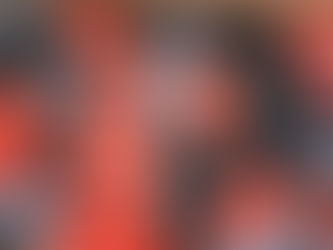 CARPINTERIA conectores PLUGmix