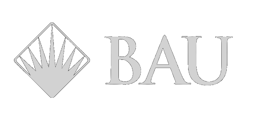 BAU Telescope AI / Marketing / Consumer