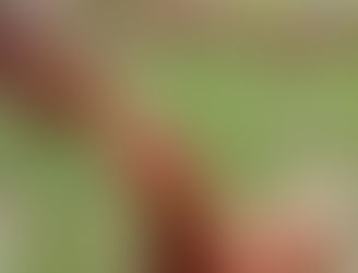 Βιολογικά ελευθέρας βοσκής αυγά.