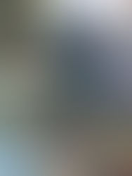 Λευτέρας βοσκής βιολογικά χωριάτικα αυγά τώρα διαθέσιμος σε όλα την αθήνα!!!