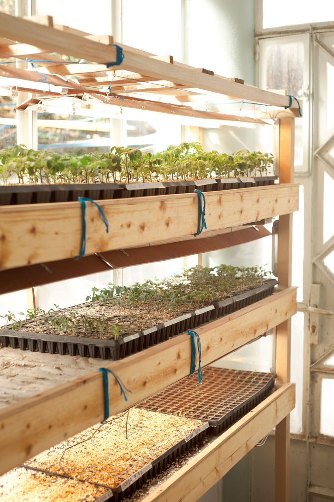 Όλα μεγαλώνουν - Everything is growing