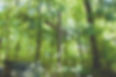 hires2_4 copy SML.jpg