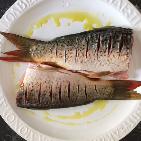 Γριβάδι Κερκίνης 