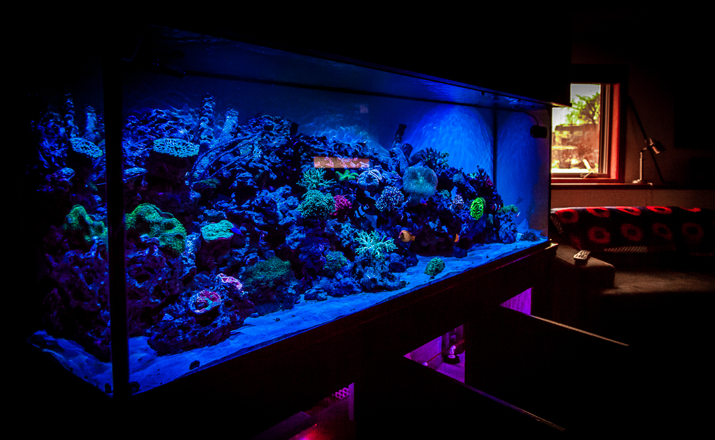 Underwater Creations, Inc. Custom Aquariums Minnesota