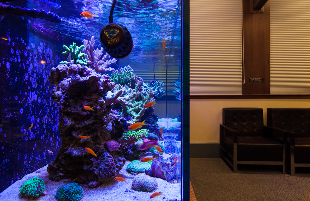 Underwater Creations, Inc. Custom Aquariums Minnesota