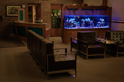 Custom Reef Aquarium Waiting Room