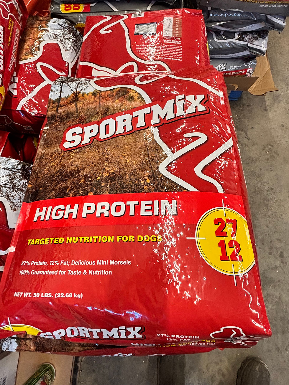 Sport Protein