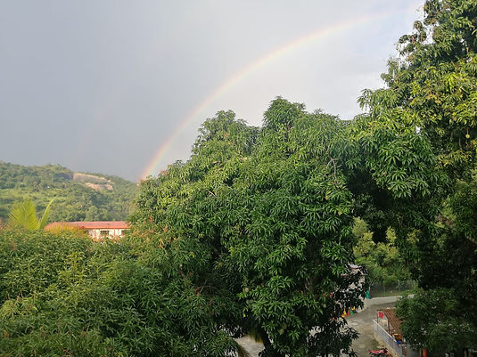 WhatsApp Image 2021-12-02 at 1.03.46 PM.jpeg