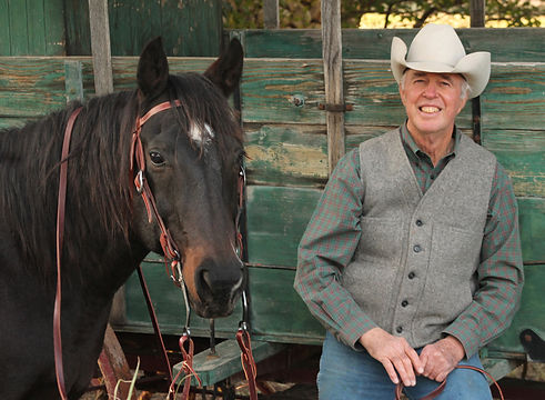 horse and wagon with cowboy artist wayne baize
