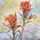 Thumbnail: Texas Paintbrushes