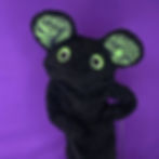Thumbnail: Sammy
