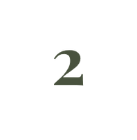 תמונה4.png