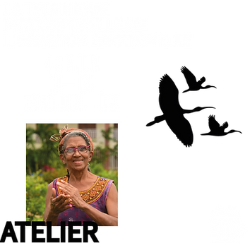 Patitou TP.png
