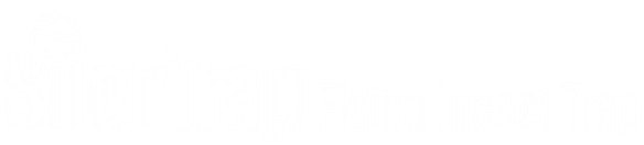 SilenTrap Flying Insect Trap - Silent Fly Light Trap