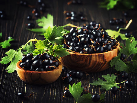 Grandha Lança o Óleo Vegetal de Groselha Negra